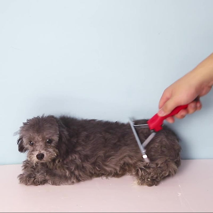 Transform Your Pet's Grooming Routine with the Extra Large Pet Grooming Rake Comb