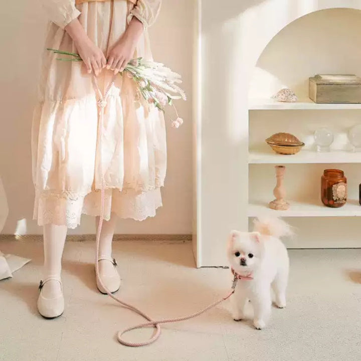 The Perfect Companion: Pet Collar Leather Hand Holding Leash