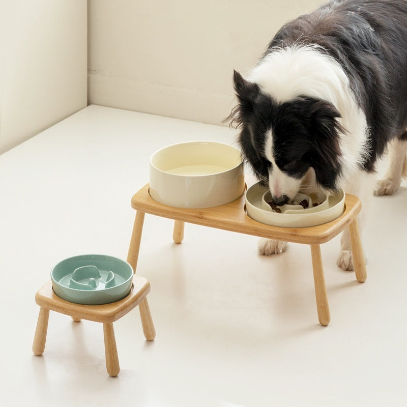 Enhance Your Pet's Feeding Experience with Our Ceramic Bowl