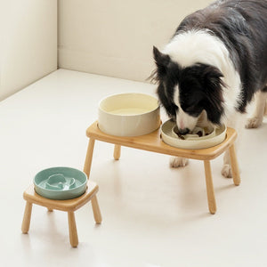Enhance Your Pet's Feeding Experience with Our Ceramic Bowl