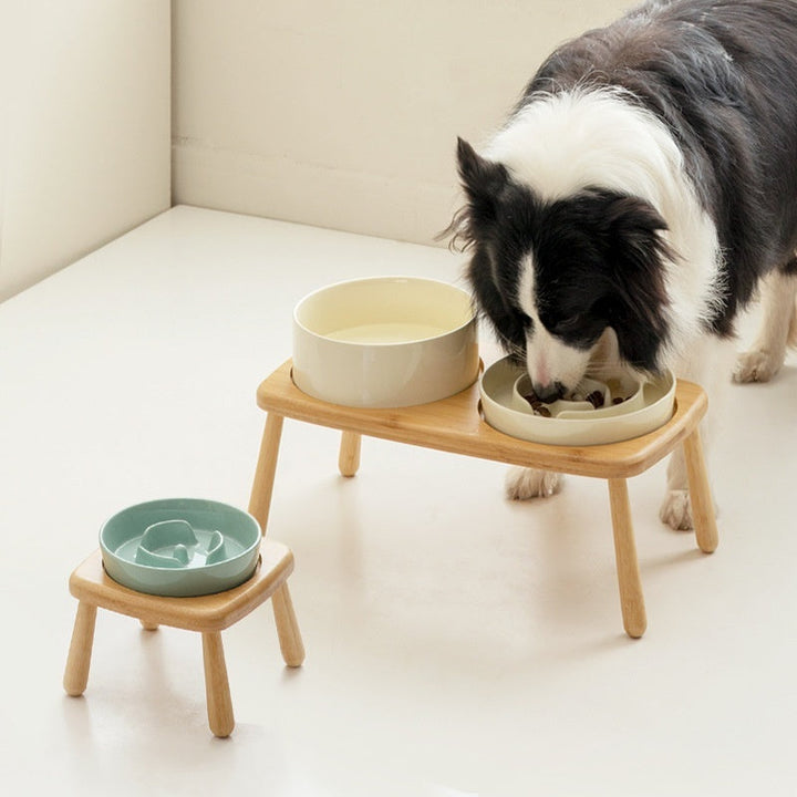 Enhance Your Pet's Feeding Experience with Our Ceramic Bowl
